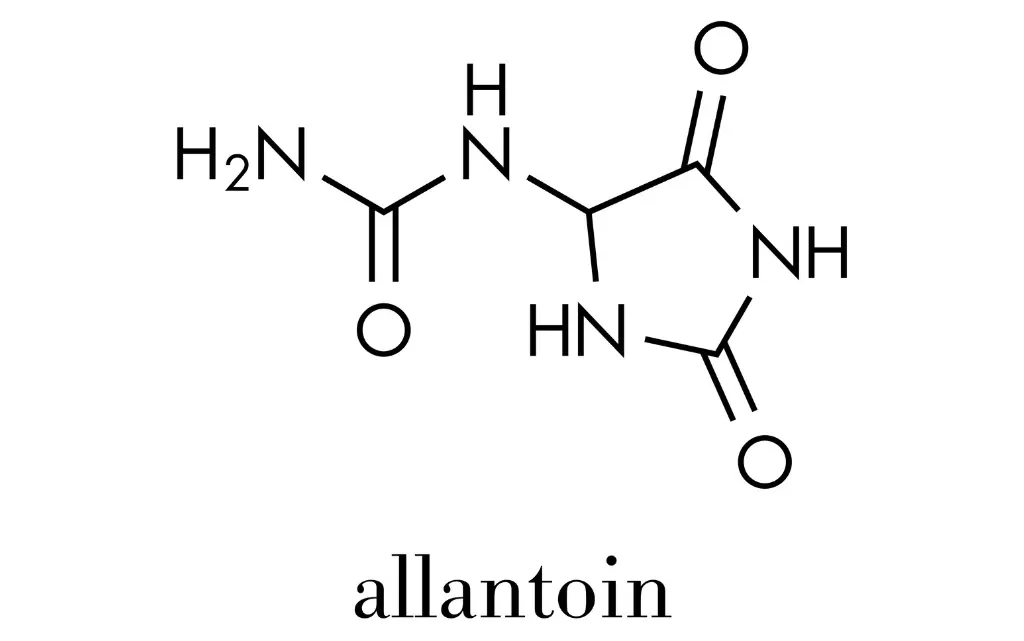 Budowa chemiczna alantoiny 