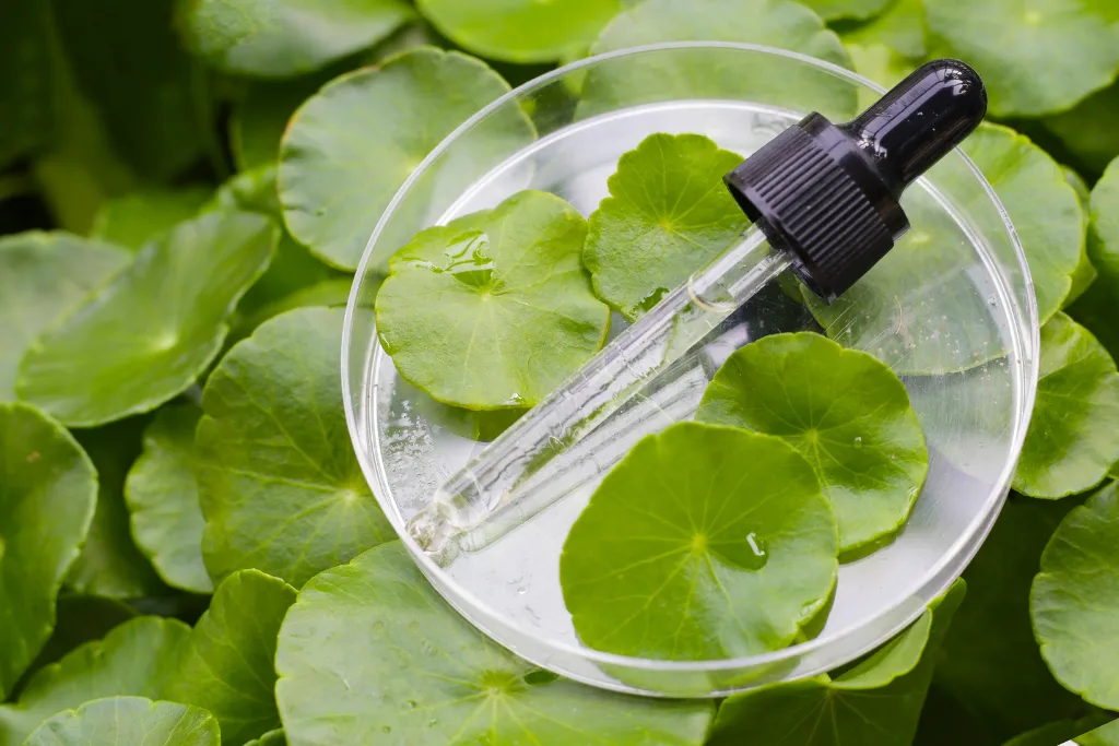Próbówka z pipetką na tle wąkroty azjatyckiej